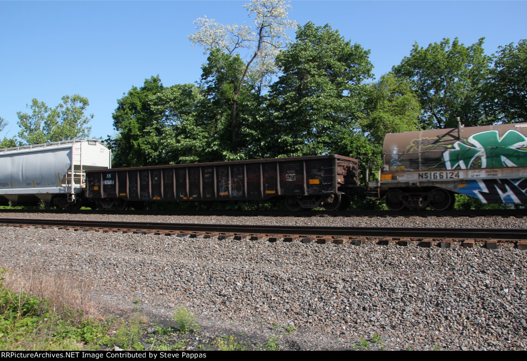 NS 187864